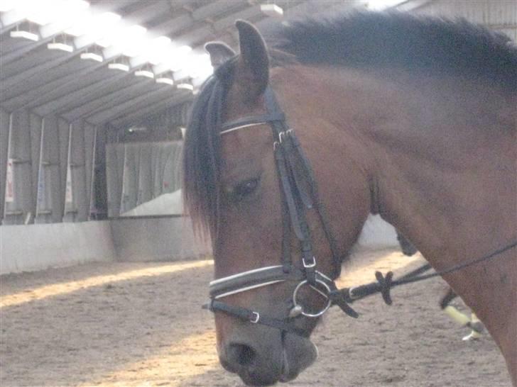 DSP Bay Runner (gammel part)= - er midt i parade... billede 5