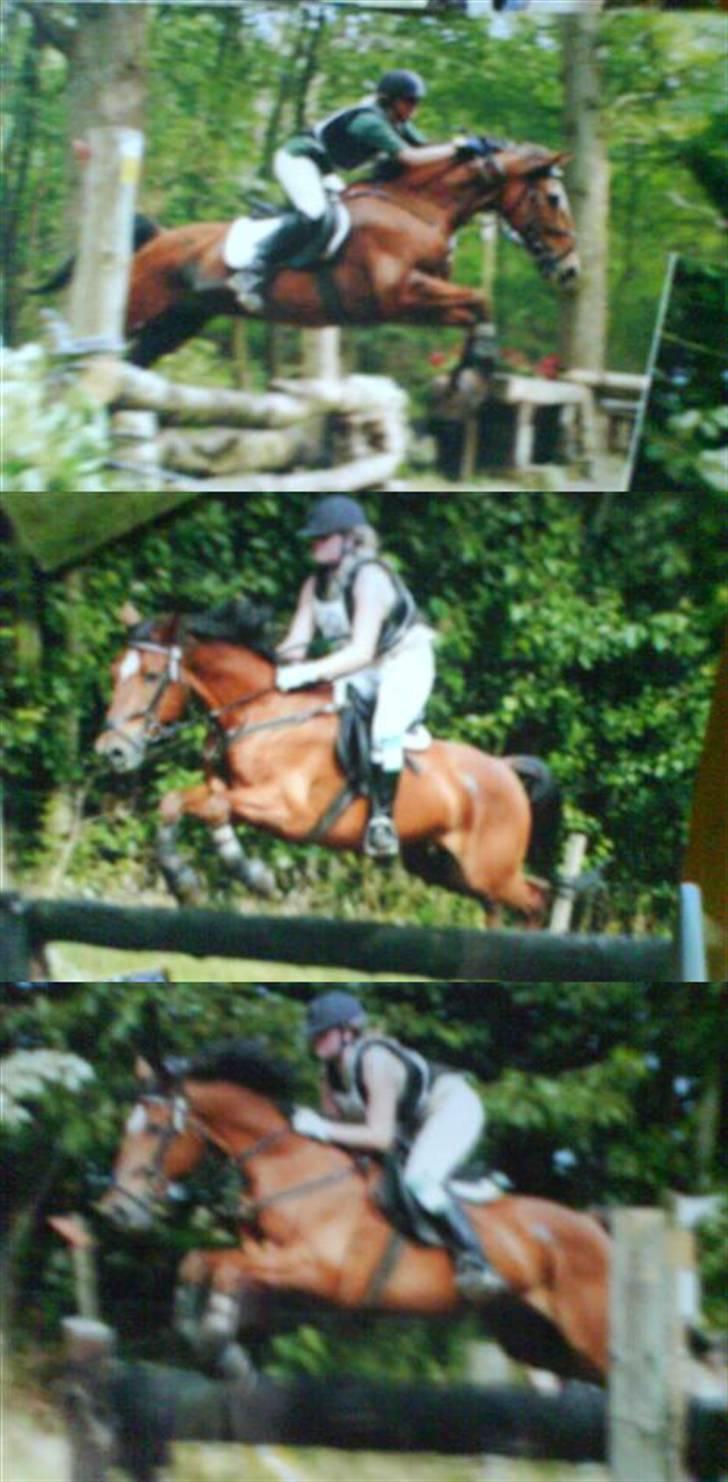 Tysk Sportspony Bonjour Boyard  - Military.. Beklager kvaliteten min scanner virker ikke.. Ska nok sende nogle bedre:P billede 13