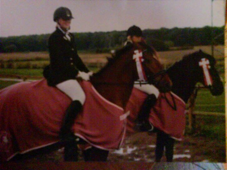 Tysk Sportspony Bonjour Boyard  - Bonne og jeg HKR KLUBMESTRE HEST MILITARY 2008.. Så stolt:P Beklager kvaliteten.. billede 18