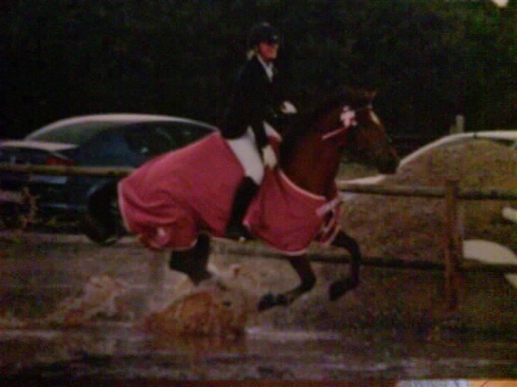 Tysk Sportspony Bonjour Boyard  - Æresrunde..! HKR KLUBMESTRE HEST MILITARY 2008.. Wee   Beklager kvaliteten,.. billede 19