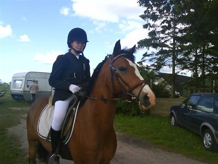 DSP Cavalie's Spoky Joker - Endnu engang model.. billede 3