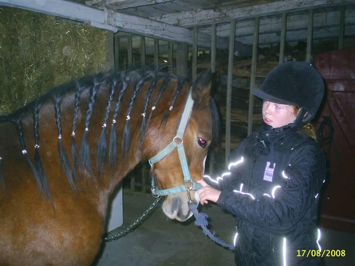 DSP Cavalie's Spoky Joker - Joker med ny "frits". billede 6