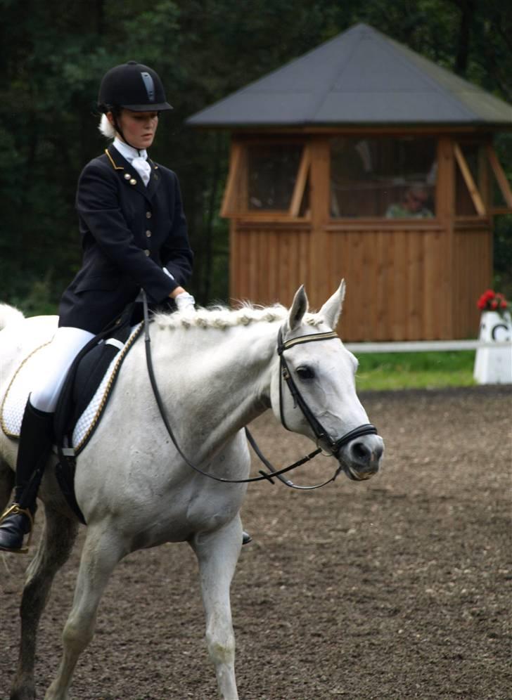 Anden særlig race Silver Moon - Silver og jeg efter vi har redet i Birgittelyst Fotograf: Mia br (www.horsepictures.dk) billede 9