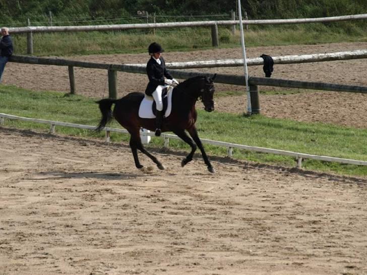 Oldenborg Top Of Class - Stævne i struer billede 3