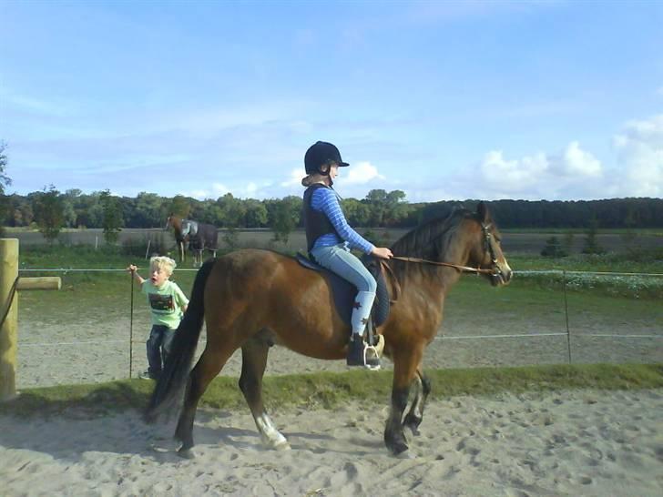 DSP Cavalie's Spoky Joker - Den første prøvetur på Joker... billede 7