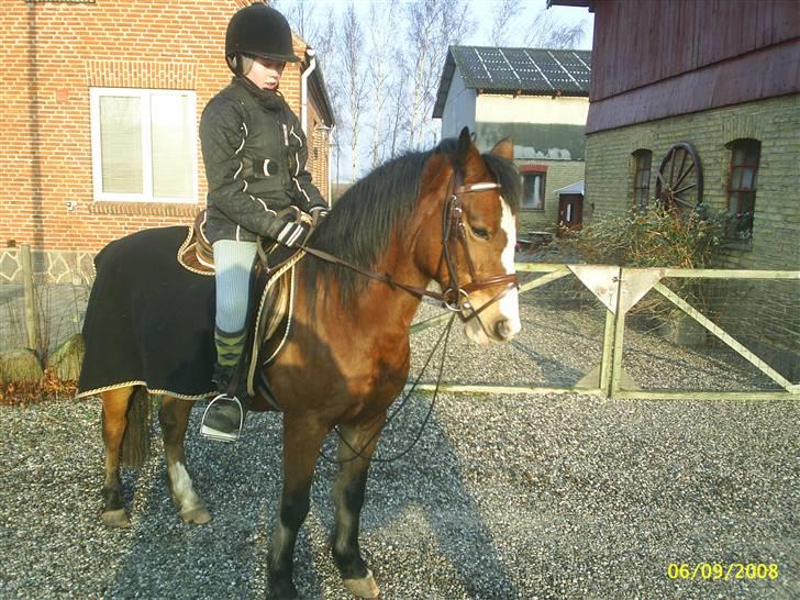 DSP Cavalie's Spoky Joker - Ud på ridetur en kold vinterdag. billede 12