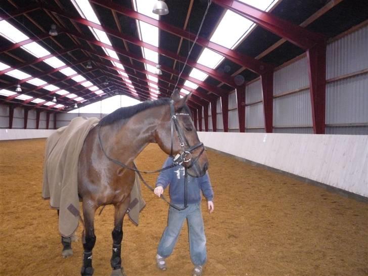 Anden særlig race Sasha - solgt !  billede 10