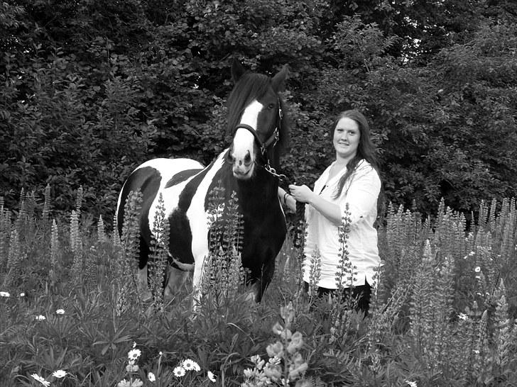 Irish Cob Troelsegaarden's MacNeal - MacNeal og jeg .. billede 18