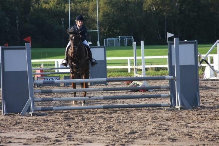 Tysk Sportspony Vivien *SOLGT :'( * - Stævne Hundested Foto: suus billede 7