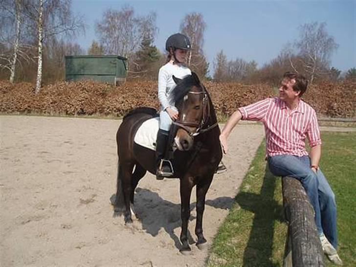 Welsh Mountain (sec A) Lyngvejens Rosita *SOLGT* - Banen på Holte Foto: mor billede 1