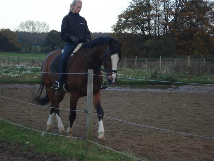 {{currentPhoto.altText}} billede {{currentPhoto.number}}