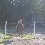 Anden særlig race Silas