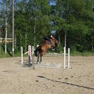 Holstener Ruby Tuesday