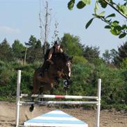 Holstener Ruby Tuesday