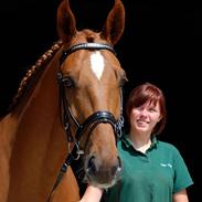 Anden særlig race Thor