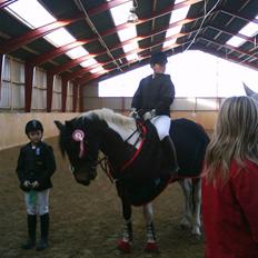 Anden særlig race zippolight (SOLGT)