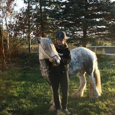 Irish Cob Little Big Bobby Beer