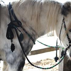 Irish Cob Little Big Bobby Beer