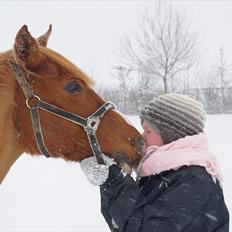 Anden særlig race BeautyButterfly-flipSolgt