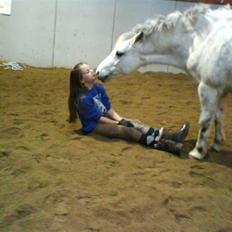 Welsh Mountain (sec A) Gwens Gracie Siggi