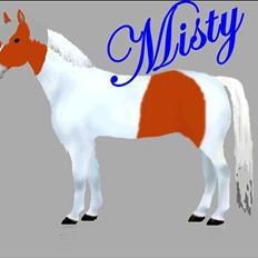 Anden særlig race Caballo Misty