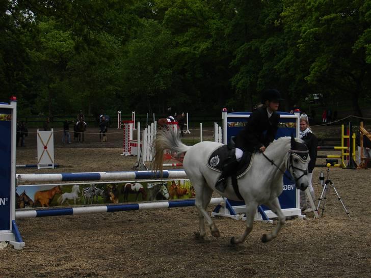 Welsh Mountain (sec A) Josefine smedegård solgt - Jose og jeg på egene <3 la billede 6