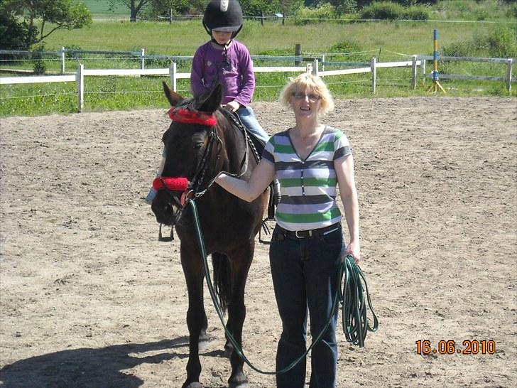 Traver Jettes Pride - Camilla får en trækketur.. hun nyder det :-) billede 3