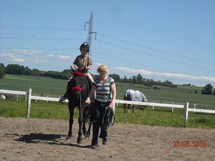 Traver Jettes Pride - ... Daniel skal da også have en tur :-) billede 4