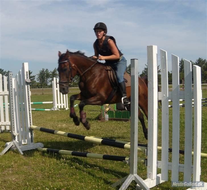 Anden særlig race $unshine<3 R.I.P:'( - 11: min dejlige hyp som vil springe før bommen?;D taget af Maiken tak:) 10 år billede 11