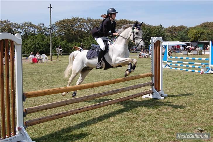 Anden særlig race Chagall - 1. plads til c-stævne (: <3 -jubilæumsklasse. foto: ida l. billede 4