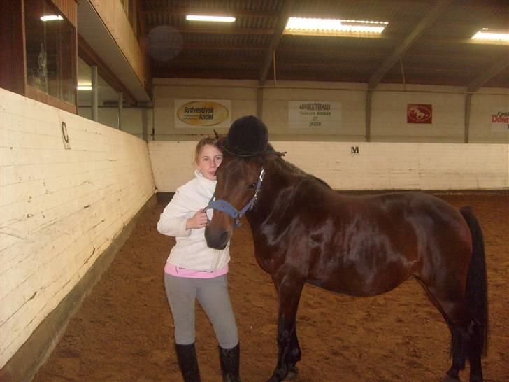 New Forest Beauty   Solgt - jeg vil gerne prøve din hjelm billede 18