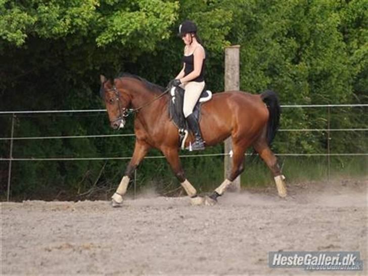 Traver Desire - træning i sommer 07 (: billede 5