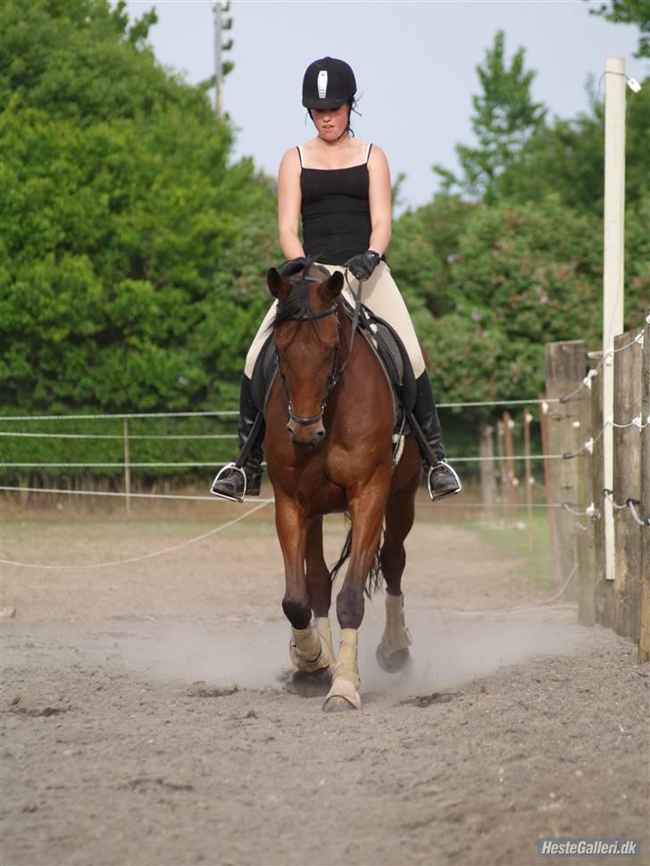 Traver Desire - forfra (: billede 6