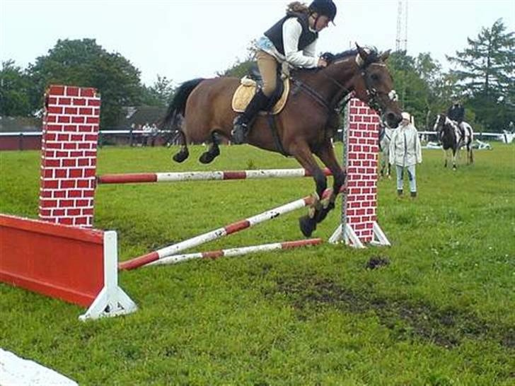 Traver Desire - ridelejr 06 . billede 10