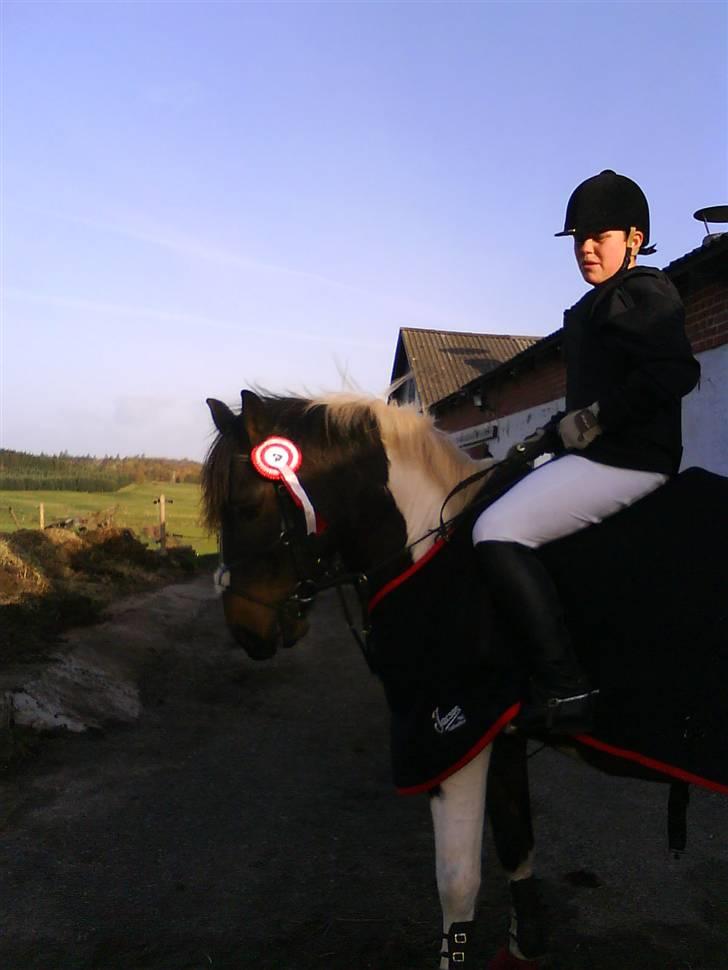 Anden særlig race zippolight (SOLGT) billede 8