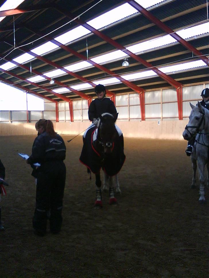 Anden særlig race zippolight (SOLGT) - vi venter spændt.. billede 11