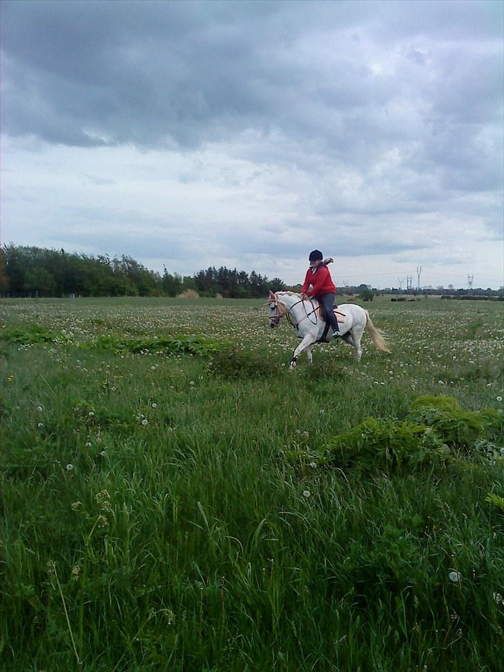 Anden særlig race Duet- min stjerne<3 - Den anden galoptur efter skaden på marken 2010 billede 4