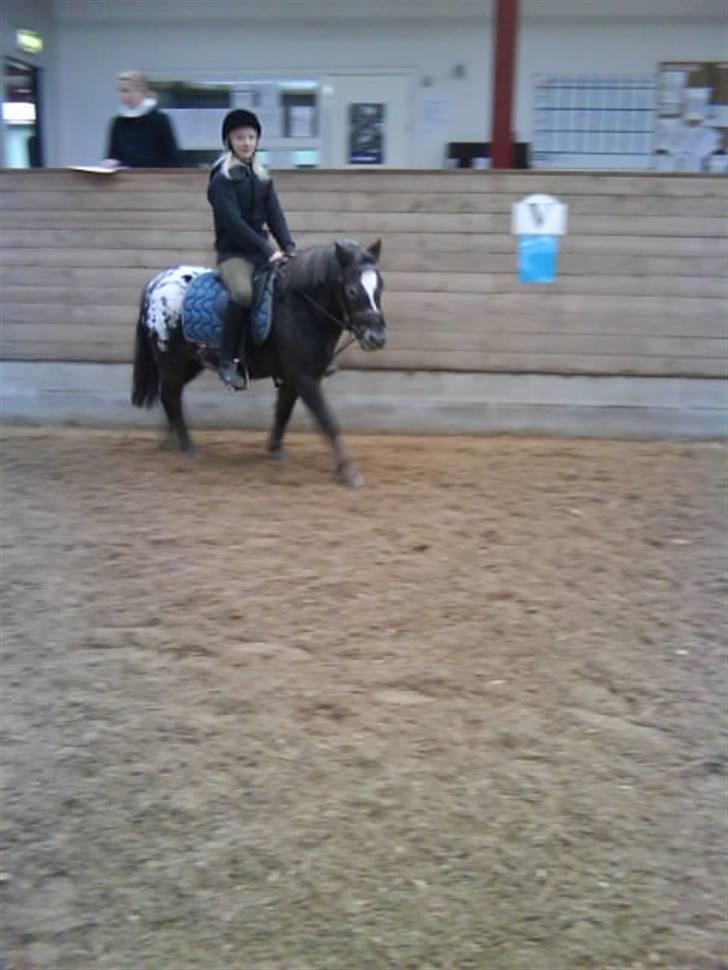 Anden særlig race tarzan  - Mig der rider min smukke pony Tarzan  billede 10