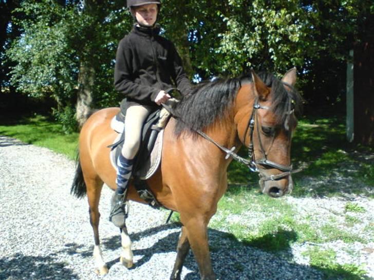 New Forest Jonie Skat<3!  billede 12