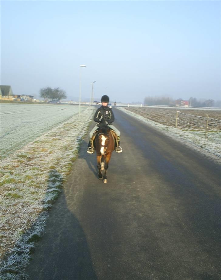 DSP Cavalie's Spoky Joker - Emilie og Joker "alene" i verden. billede 13