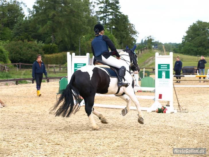 Irish Cob athos<333 - klubmesterskabet i spring billede 11