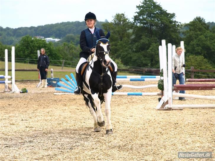 Irish Cob athos<333 - klubmesterskabet i spring billede 14