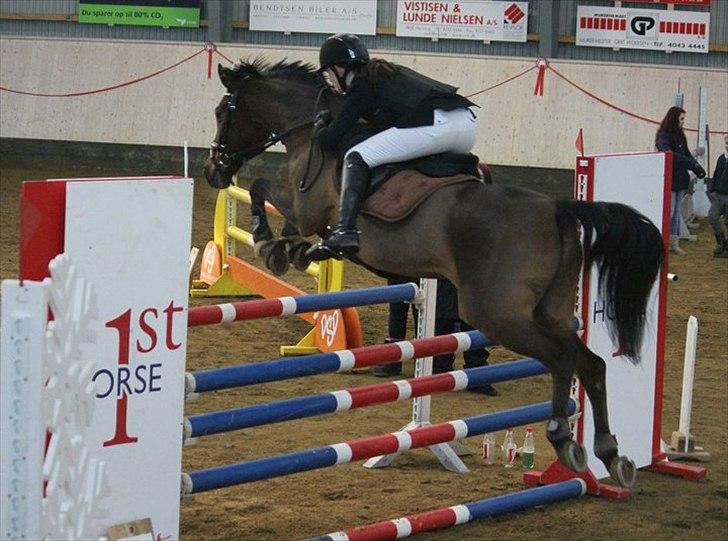 Anden særlig race Baloü B-pony<3 - Velkommen til Balou´s profil :D<3  billede 1