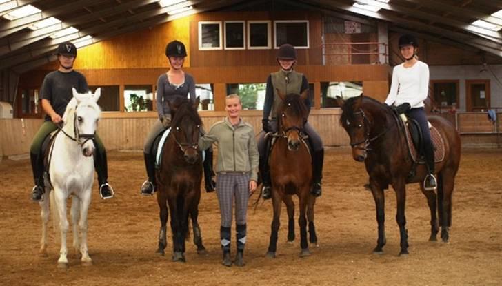 New Forest Lilholts Figo SOLGT - Sydjydsk hold, ROOR  billede 2