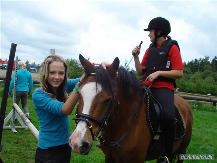 DSP Godsets Fanny (solgt) - Alice, Fanny og jeg. billede 3