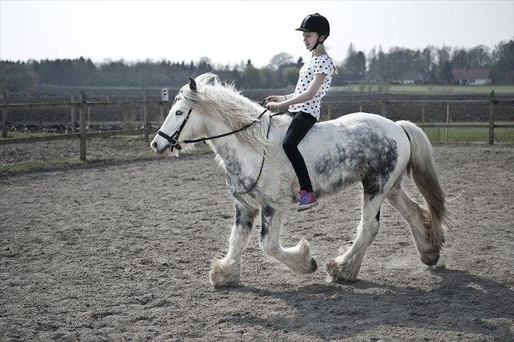 Irish Cob Little Big Bobby Beer - #1 - Velkommen. :) billede 1