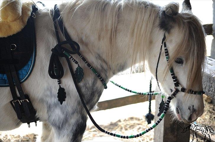 Irish Cob Little Big Bobby Beer - #3 - Når enden er god, er alting godt. : D billede 3