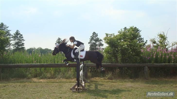 DSP Clements star fighter B-PONY <3 - hej velkommen til Clements Star Fighter´s profil billede 1