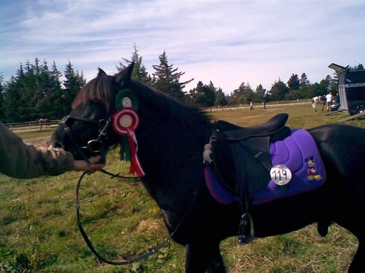 DSP Clements star fighter B-PONY <3 billede 7