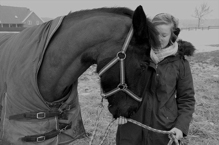 Anden særlig race Indy Boy. (Solgt) - Vinter 2011. billede 15